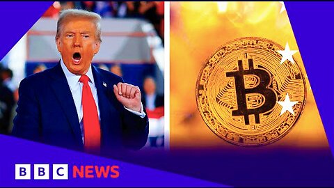 us Shares and bitcoin hit record high on Donald Trump win (24_news