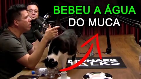 GATO DO MONARK BEBEU A ÁGUA DO MUCA (Monark Talks #28) FlowPah Cortes