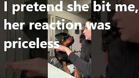 I pretend she bit me, her reaction was priceless rottweiler apologized in her own way 😂🥰