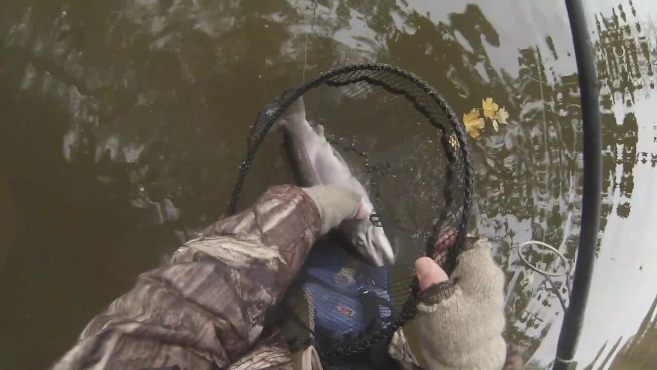 Mudhole morning Erie steelhead fishing