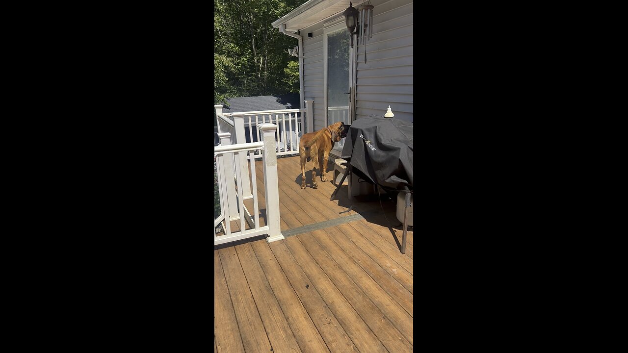 My boys