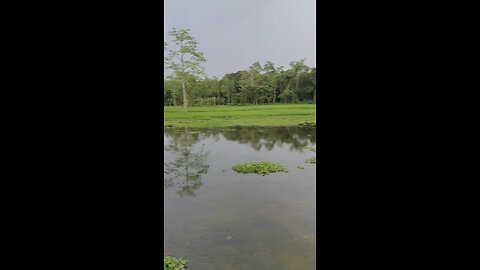কার কি যায় আসে