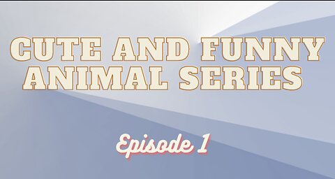 Cute and Funny Animal Series Episode 1