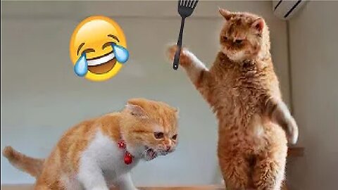 Best Funny Animal Videos of the year (2023), funniest animals ever