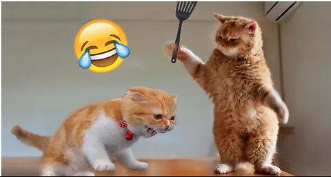 Best Funny Animal Videos of the year (2023), funniest animals ever. relax with cute animals video