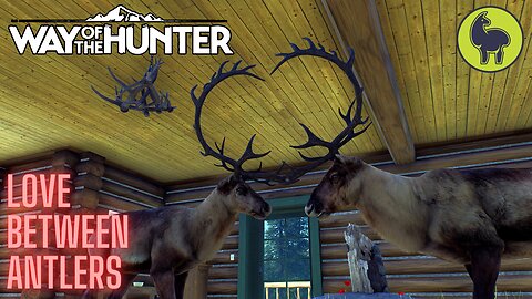 Love Between Antlers, Aurora Shores | Way of the Hunter (PS5 4K)