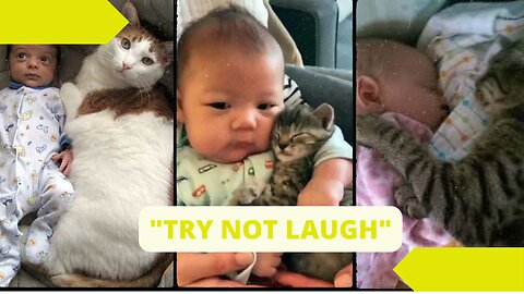 FUNNY VIDEO CAT AND BABY