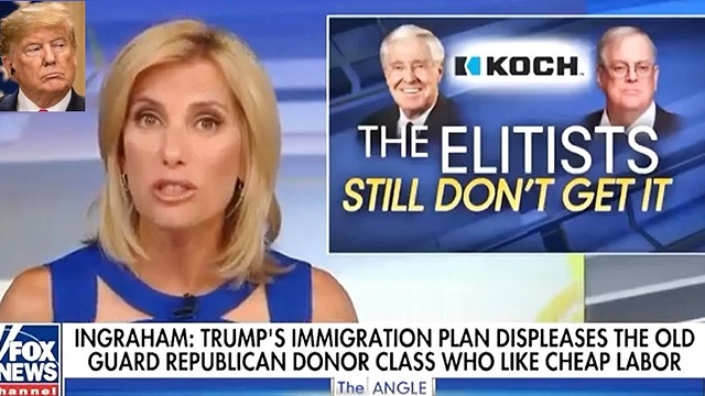 Laura Ingraham blasts 'globalist' Koch brothers for trashing Trump