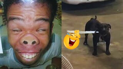 Try not to Laugh 😂 Most funny videos compilation laughing 😹 😝 😆 Part 1