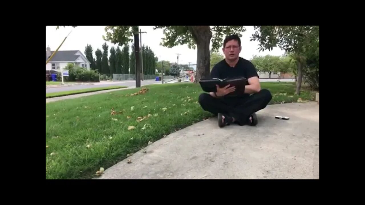 Pastores y ovejas. Padre Luis Toro.