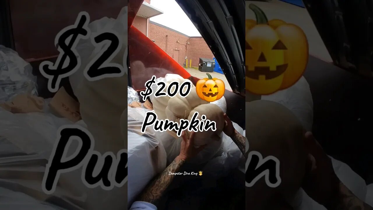 Why would they throw this put in the trash 🗑 $200 !! #dumpsterdiving #wow #pumpkin #Halloween #money