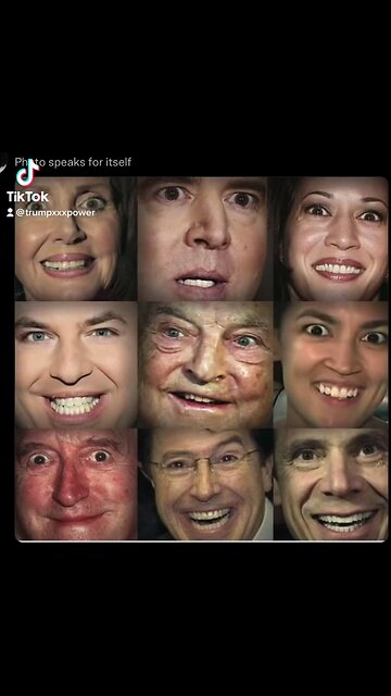 Maga Monday Truth Train