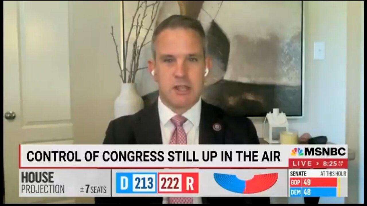 Adam Kinzinger Takes Credit For Democrat Victories