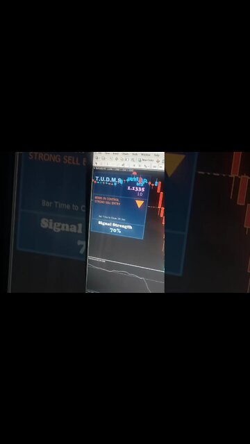 The Ultimate Dream Maker System - Best Forex Trading System #shorts