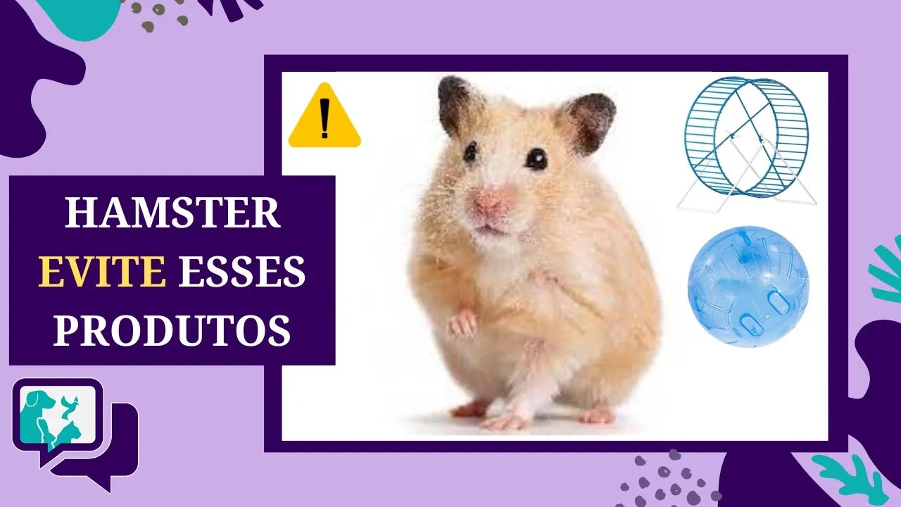 HAMSTER: PRODUTOS que devem ser EVITADOS