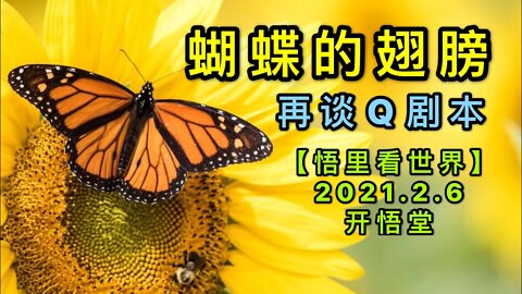 KWT1027蝴蝶的翅膀-再谈Q剧本20210206-6【悟里看世界】