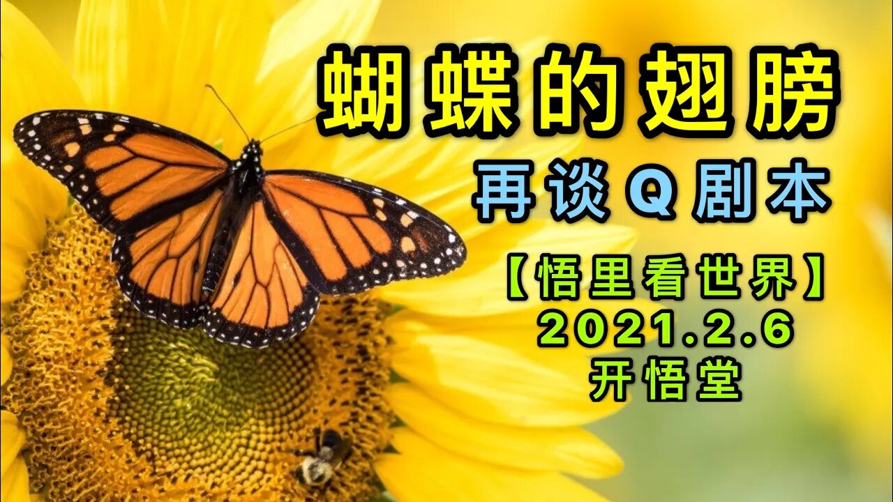 KWT1027蝴蝶的翅膀-再谈Q剧本20210206-6【悟里看世界】