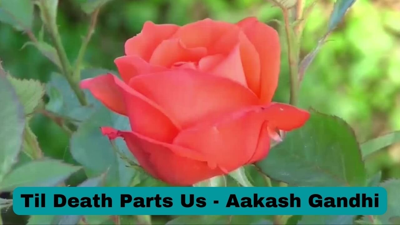 Til Death Parts Us - Aakash Gandhi