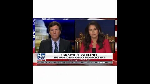 Tulsi Gabbard - We Must Unite To Protect Our Constitution