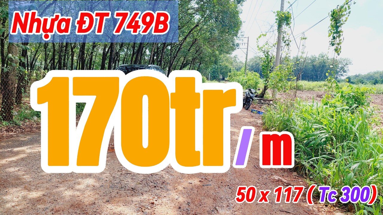 Đất Dầu Tiếng | Ngộp lắm rồi ! Bán gấp lô đất 50 × 117 ( Tc 300) giá rẻ #590