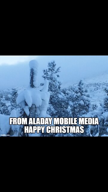 Sleigh Ride Anyone???