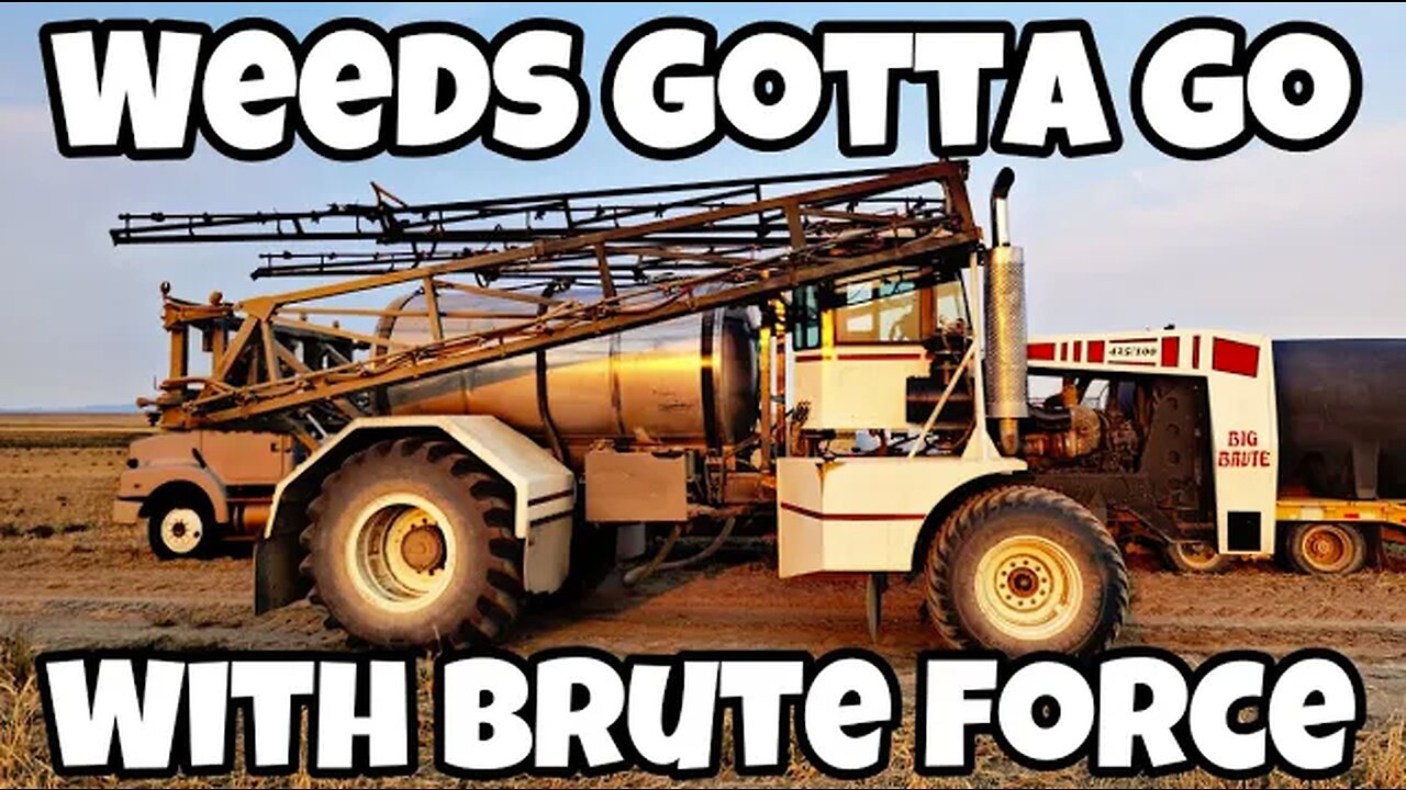 Bad Weeds? Bring On The BRUTE!