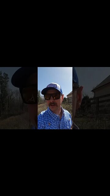 Day 16 of 30 days of #calving . #cattle #farm #farmlife #ranch #ranchlife #cow #calf #feedingcattle