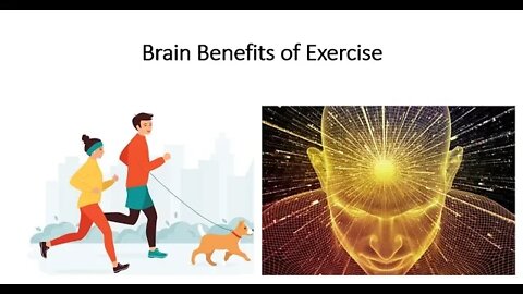 Exercise & Memory