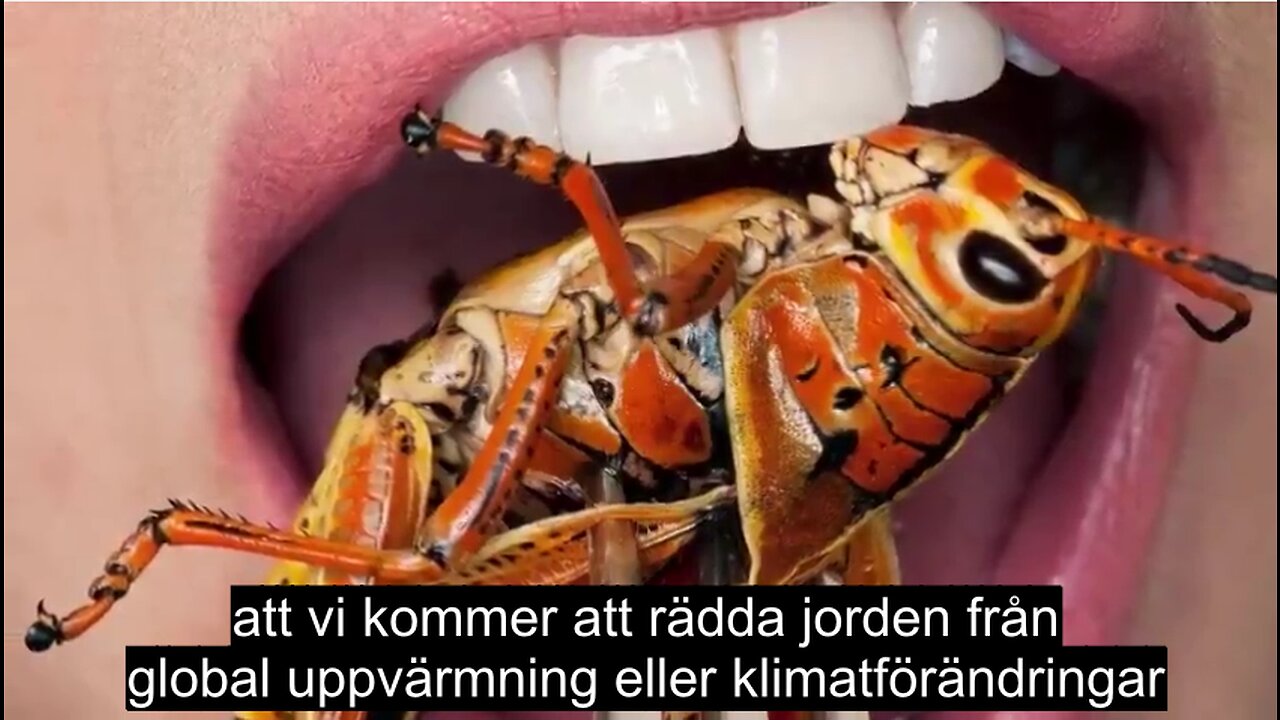 Frukostklubben n230305