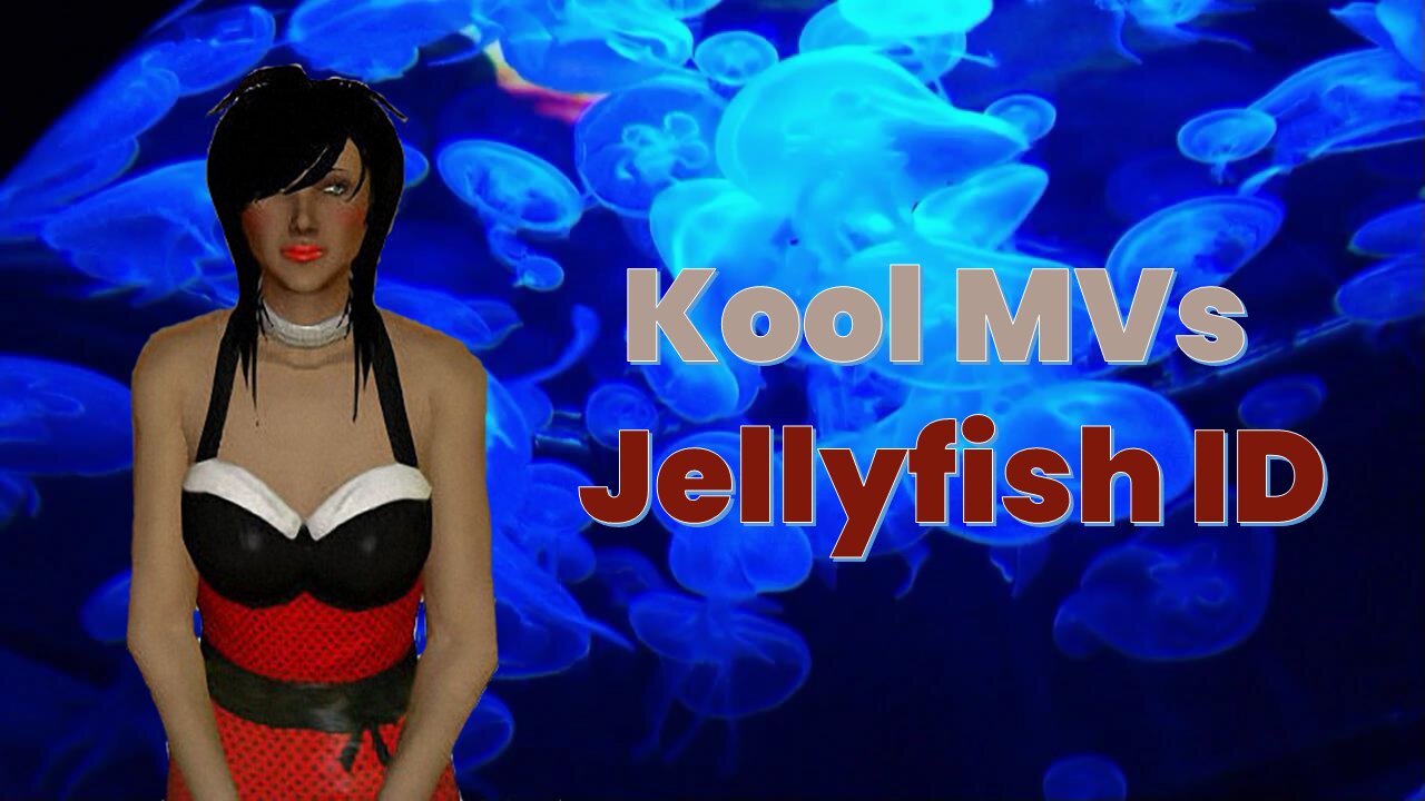 Kool MVs - Jellyfish ID