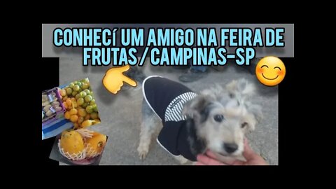 Conhecí um AMIGO na Feira de Frutas CAMINHÃO DAS FRUTAS em Campinas-SP e MIDI conscientizou o rapaz