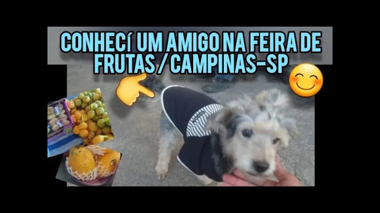 Conhecí um AMIGO na Feira de Frutas CAMINHÃO DAS FRUTAS em Campinas-SP e MIDI conscientizou o rapaz