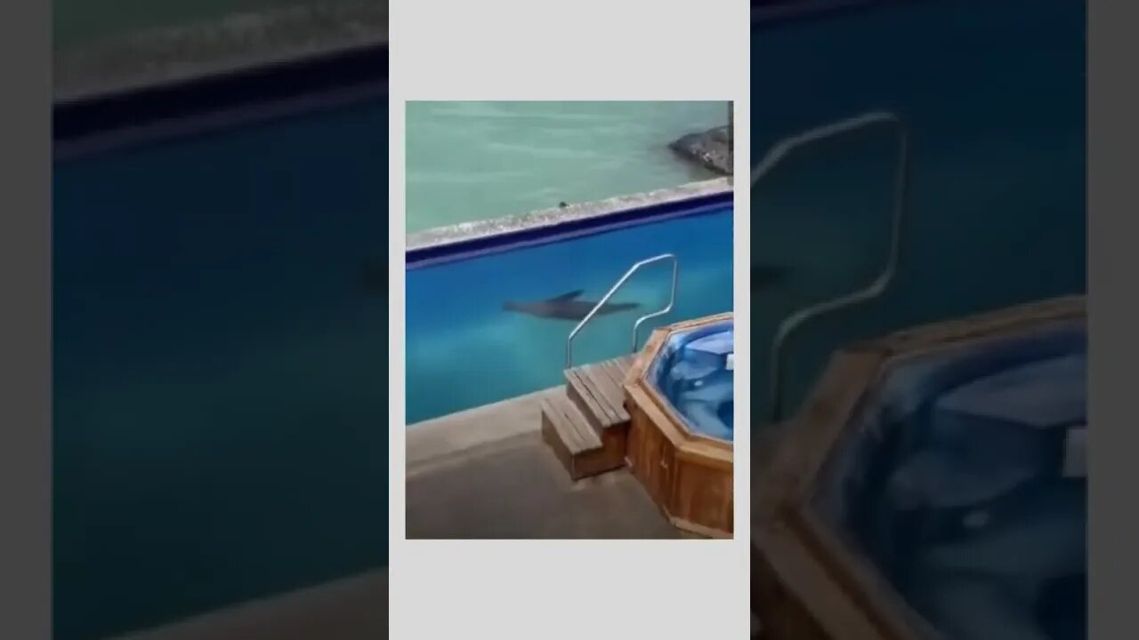 I’ve been looking everywhere for you guys…that’s my spot, beat it. 😳😏😂