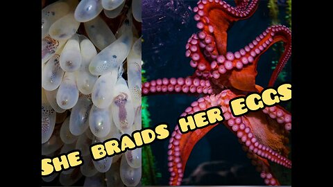 This Mom Braids Her Babies!!