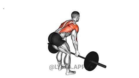 10 Best Back Workout Gym Exercises For Muscle Building