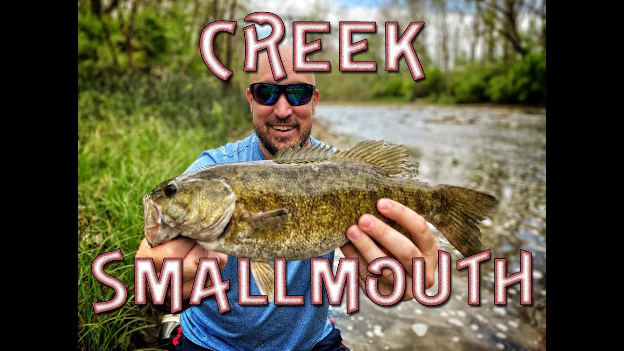 Smallmouth CRUSH! Catching BIG smallmouth in a SMALL creek!