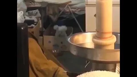 Can't wait for weekend