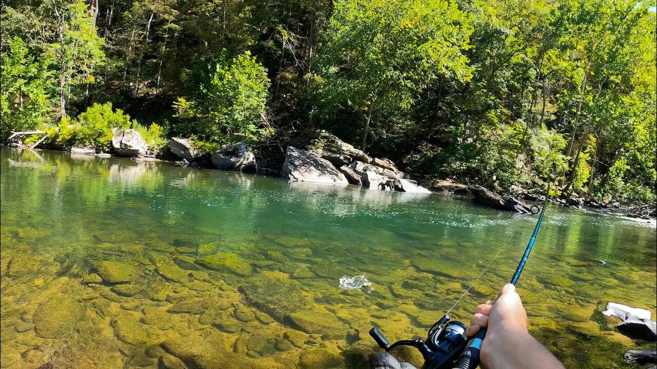 Fishing a River LOADED with Smallmouth Bass!! (Ft. Fish Hawk)