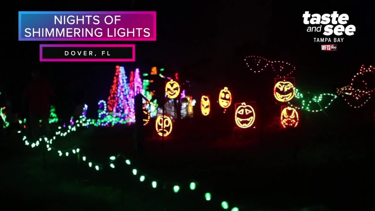 Nights of Shimmering Lights in Dover | Taste and See Tampa Bay