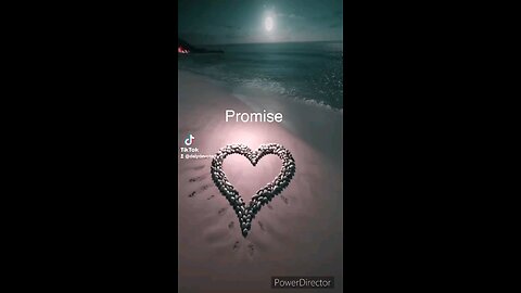 Promise