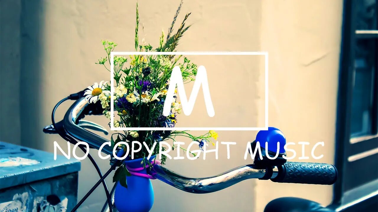 Dizaro - Mermaid(Mm No Copyright Music)