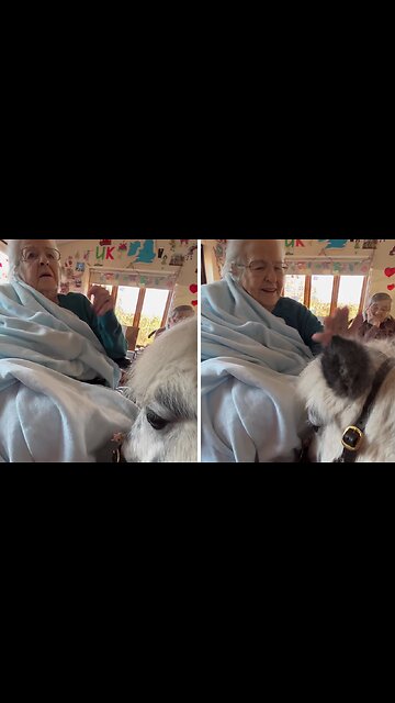 Grandma's reaction to meeting an adorable pony is beautiful