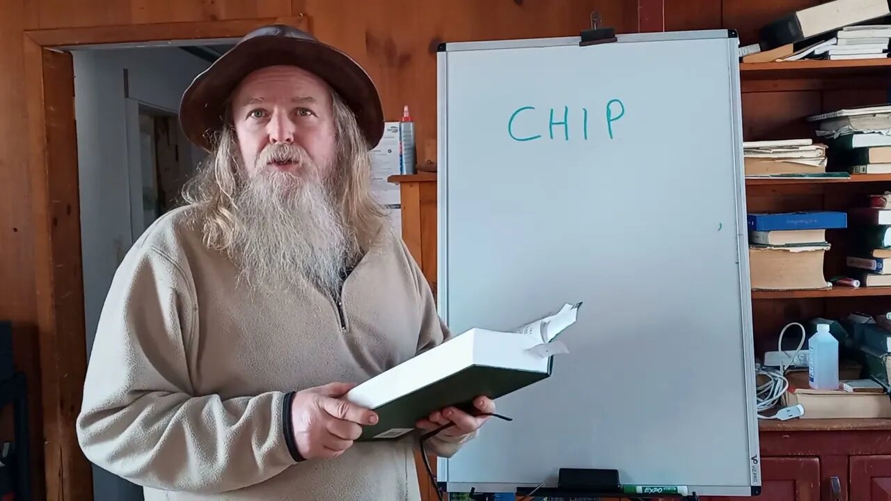 CHIP