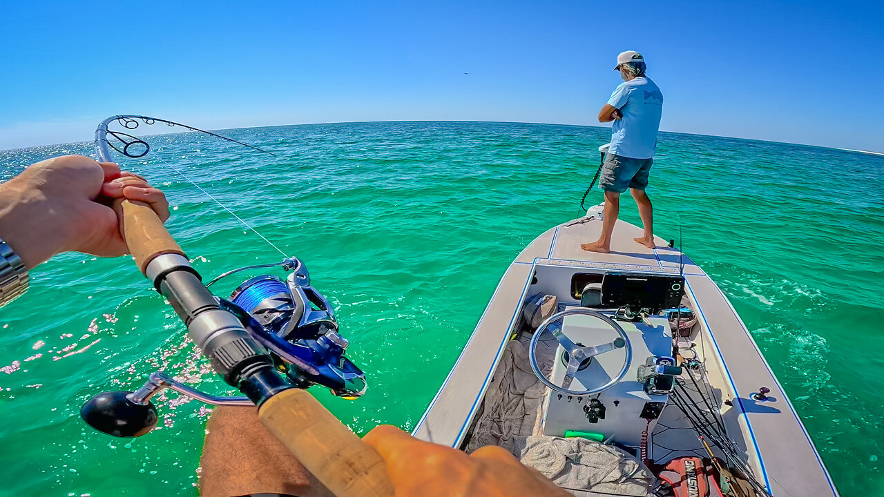 Sight Fishing for Sharks in MICRO SKIFF *SKETCHY*