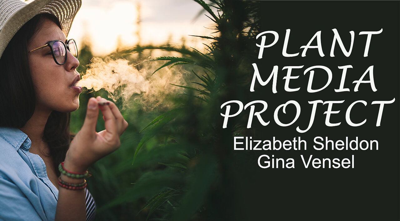 END THE STIGMA | PLANT MEDIA PROJECT [cannabis education]