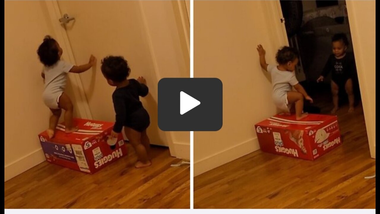 Genius babies use teamwork to open door 🚪