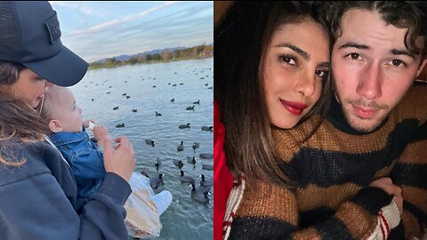 Nick Jonas and Priyanka Chopra's romantic Valentine's Day celebration