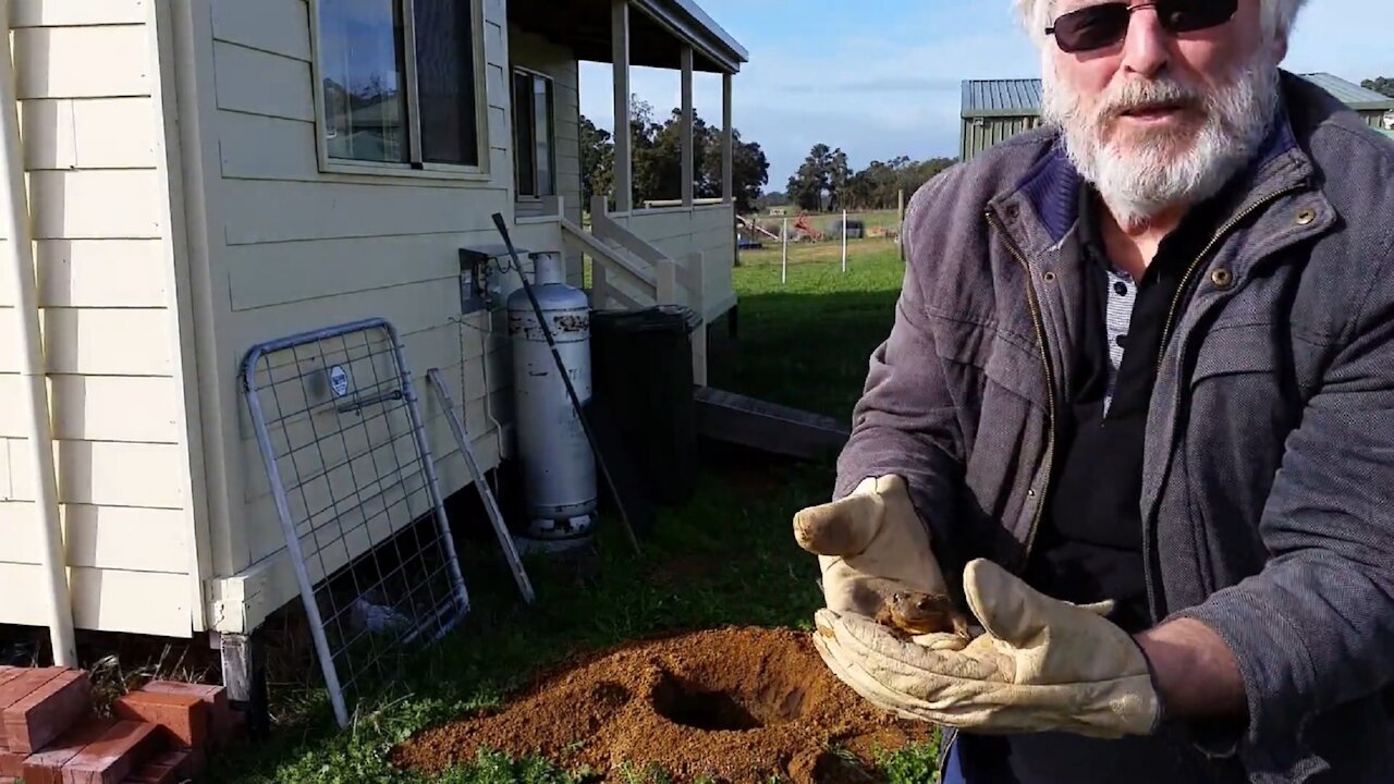 Setting the kitchen gatepost... and evicting the "squatter"