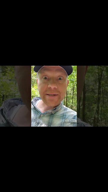 Armadillo in Tennessee!!!