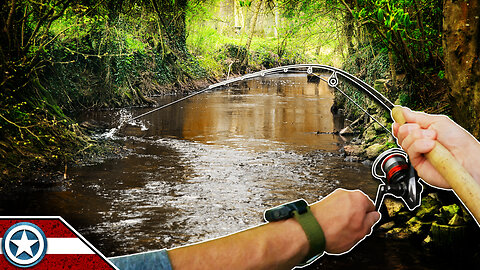 Popper Fishing a Muddy Creek (CHOCOLATE MILK!) after Rain